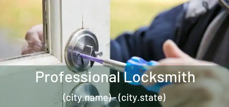 Professional Locksmith (city.name) - (city.state)